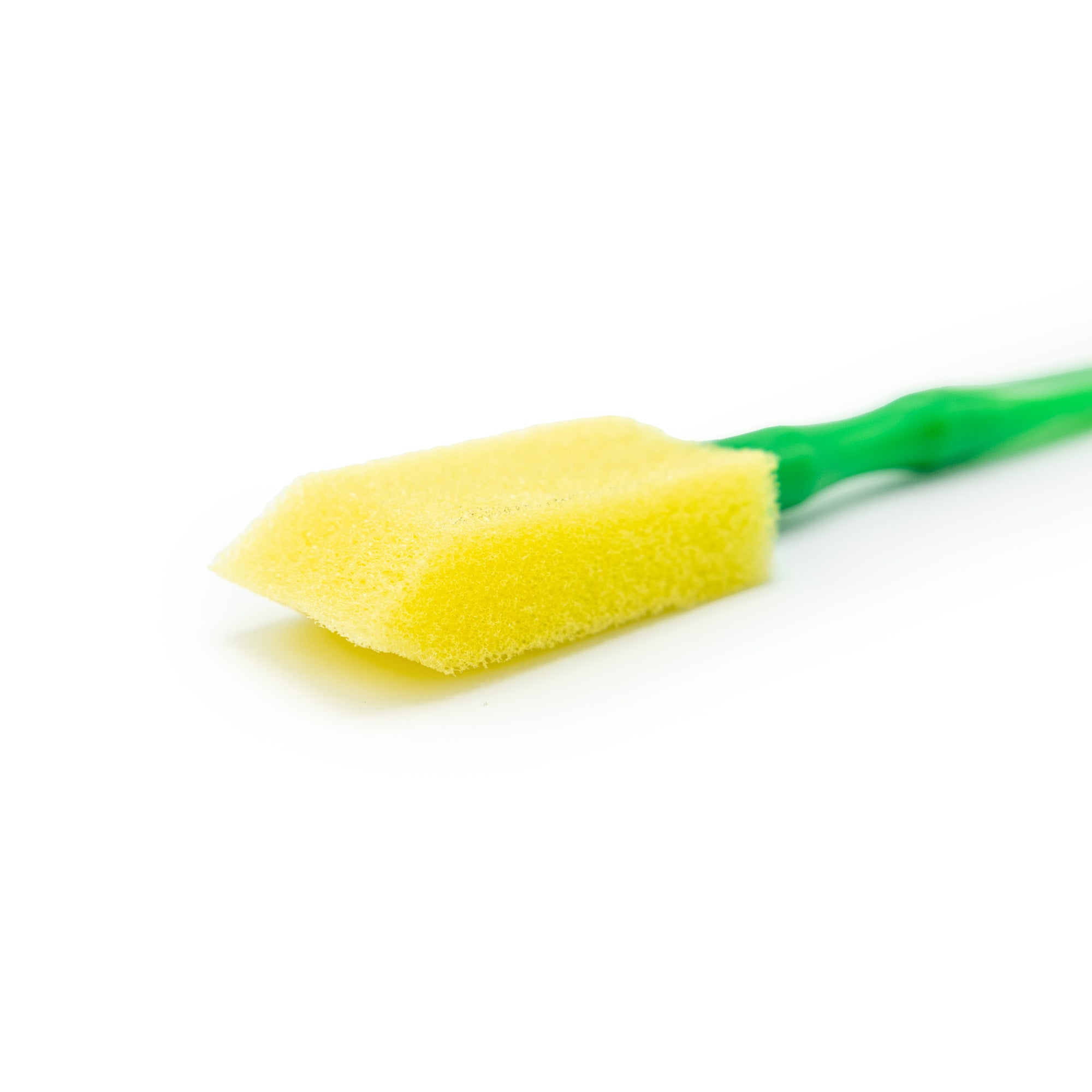 Starter Brush Set of 25