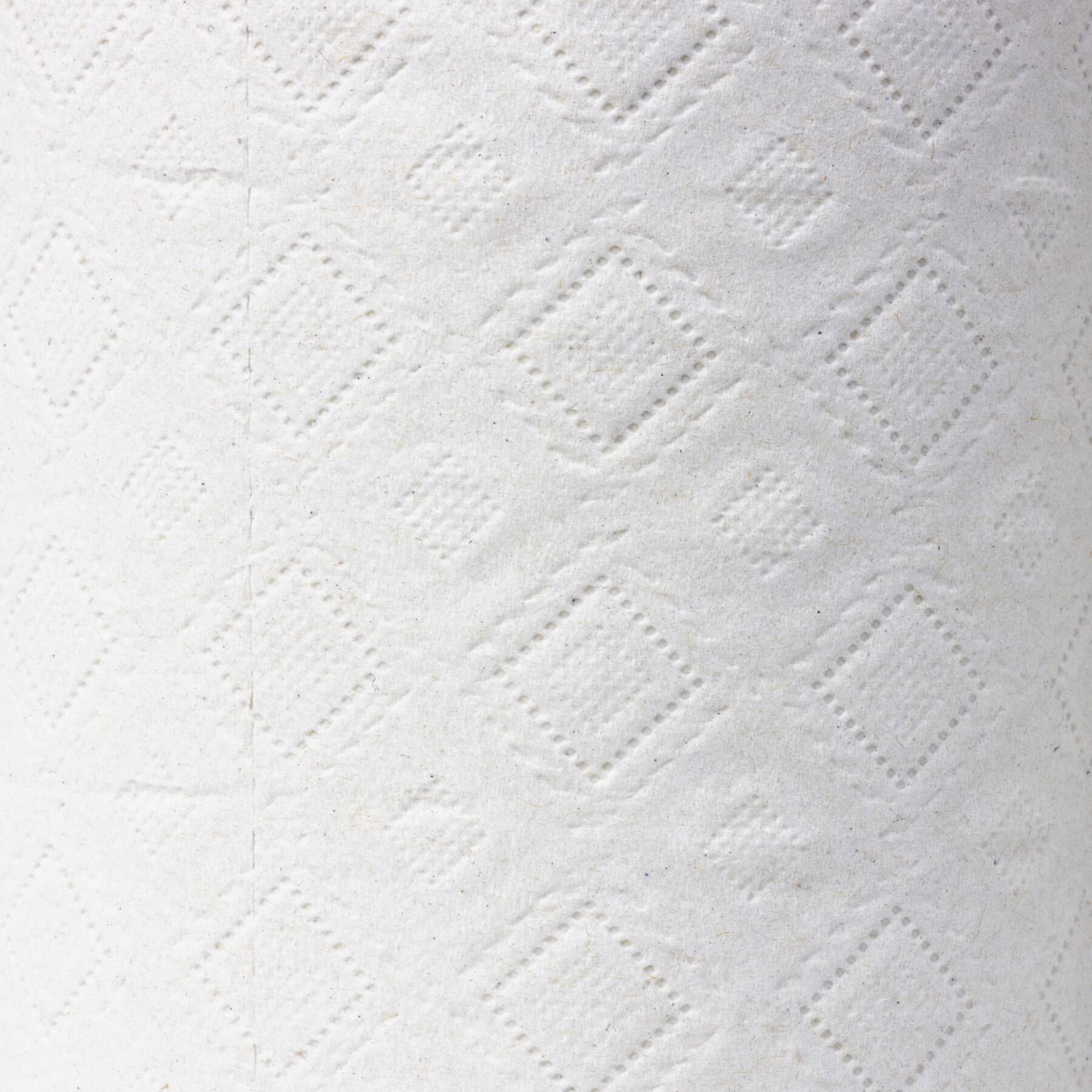 Eco 2 Ply Recycled Toilet Roll