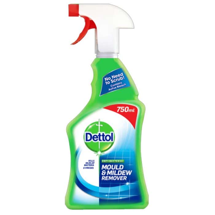 Dettol Mould & Mildew 750ml