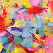 Coloured Feathers - 50g