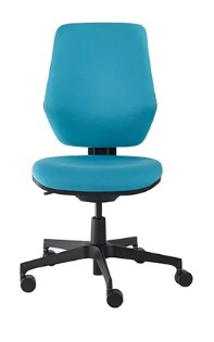 Phoenix Ergonomic Task Chair