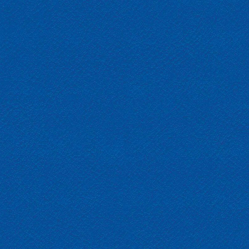 Vita