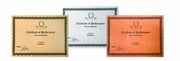 A4 Georama Metallic Paper & Card - Pk100