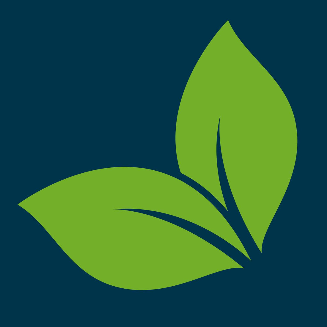 Sustainable Solutions